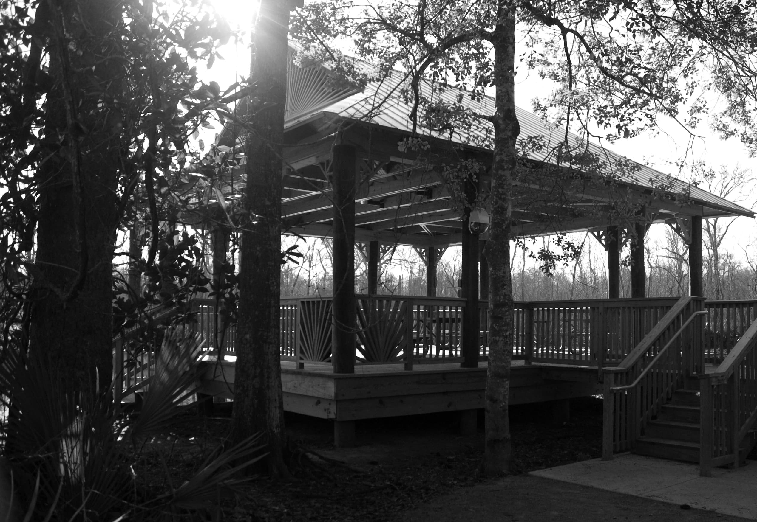 Palmetto Island State Park